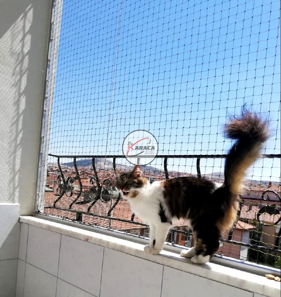 Kedi Güvenlik Filesi 0850 380 20 06 Kedi Güvenlik Filesi 0850 380 20 06