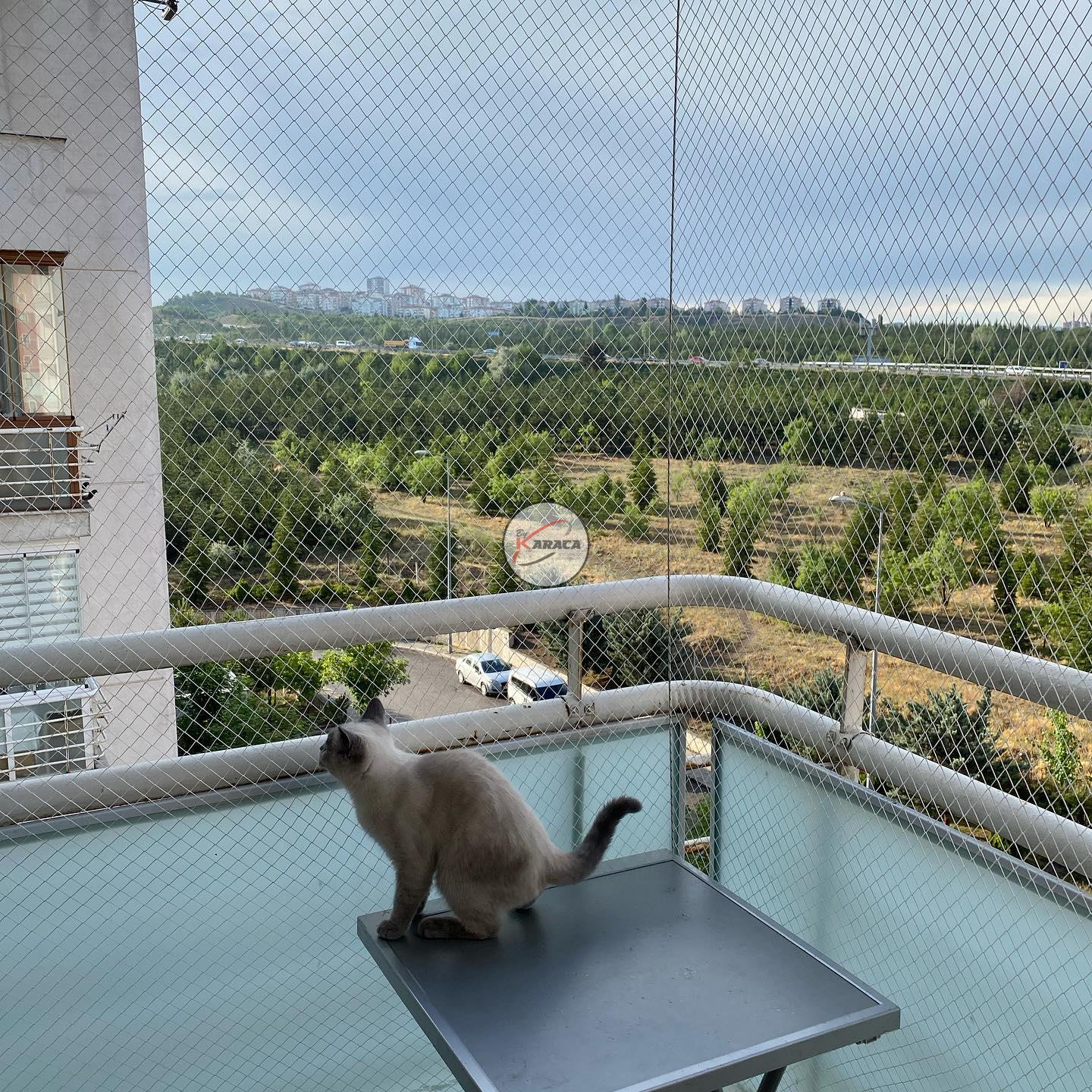 Ankara HASANOĞLAN MUZAFFER EKŞİ Mahallesi. Evcil hayvan filesi Çocuk Filesi Kedi Filesi Balkon Filesi 0850 380 20 06