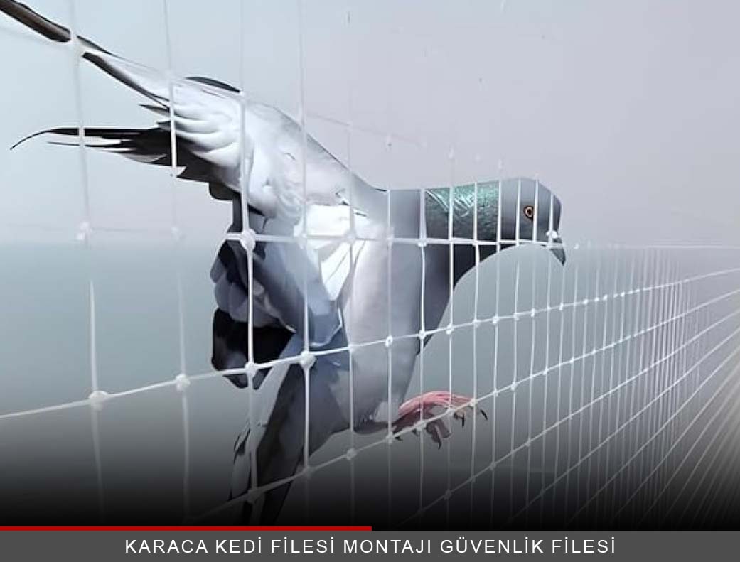 Kuş Filesi Ankara