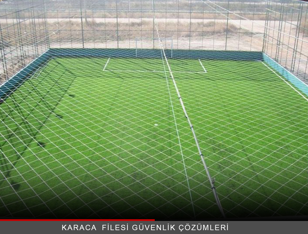 Hali Saha